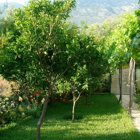 Galini Apartment