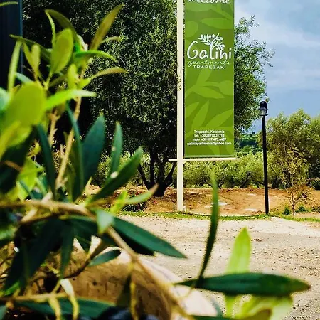 Apartment Galini Trapezaki (Kefalonia)