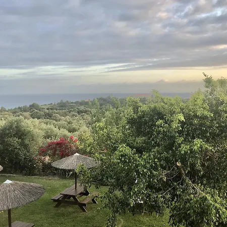 Galini * Trapezaki (Kefalonia)